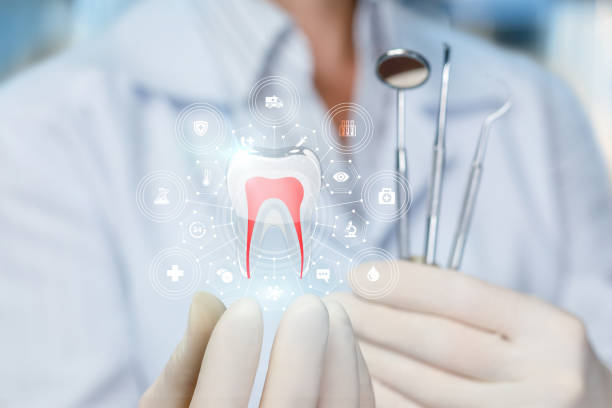 Best Dental Exams and Cleanings  in Ave Maria, FL